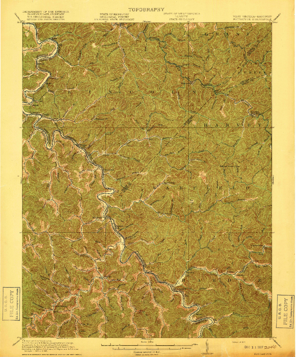 USGS 1:62500-SCALE QUADRANGLE FOR NAUGATUCK, WV 1917