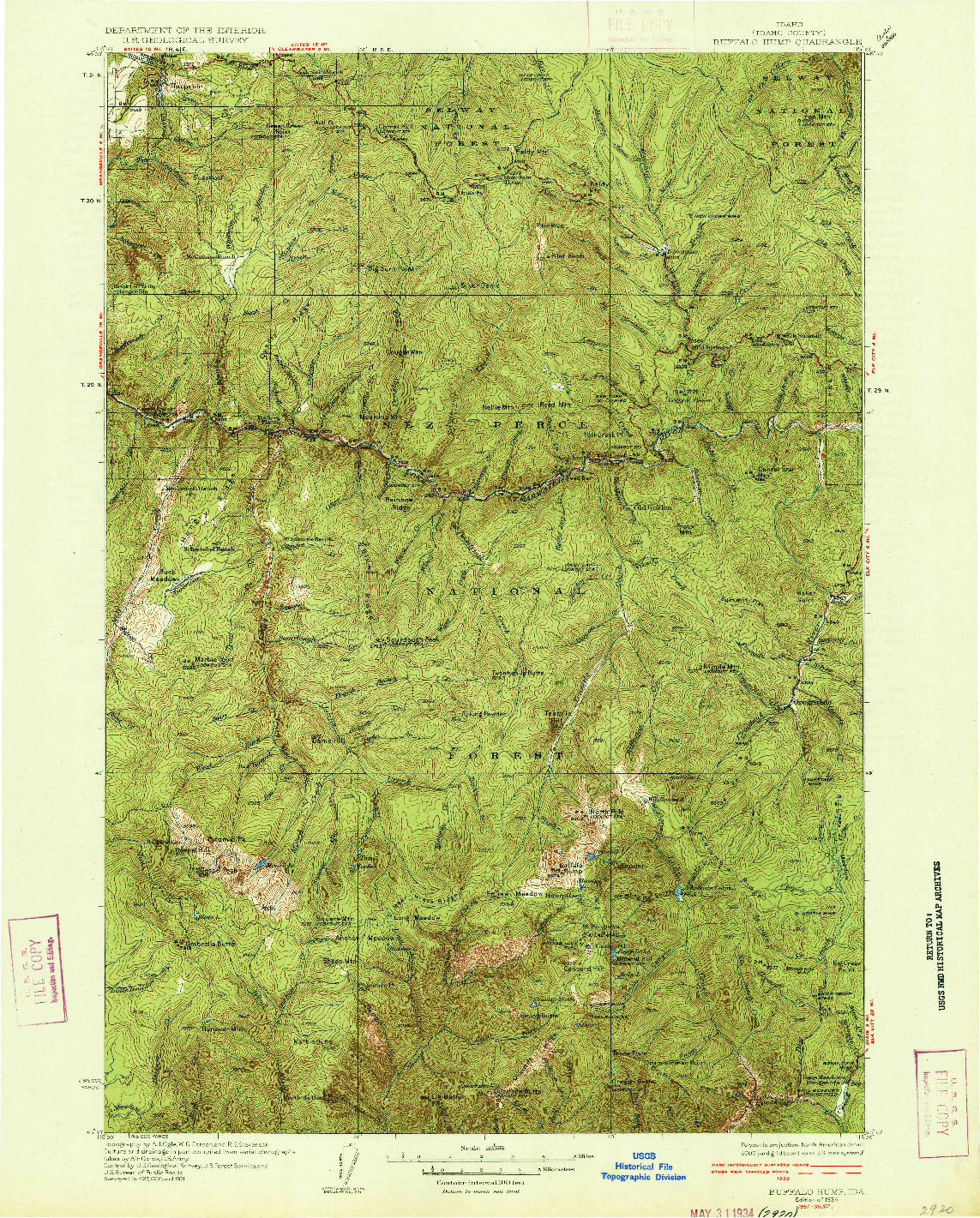 USGS 1:125000-SCALE QUADRANGLE FOR BUFFALO HUMP, ID 1934