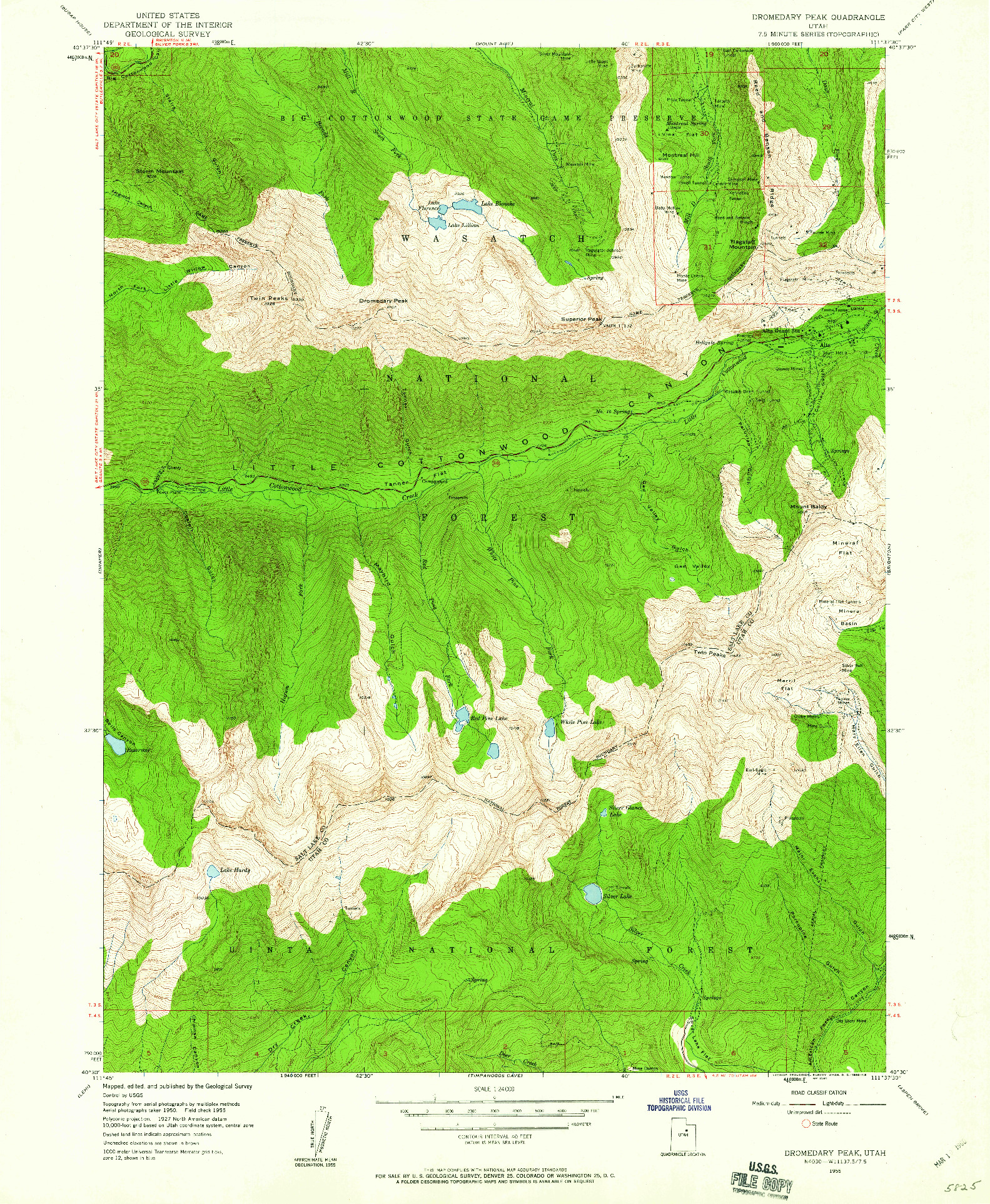 USGS 1:24000-SCALE QUADRANGLE FOR DROMEDARY PEAK, UT 1955