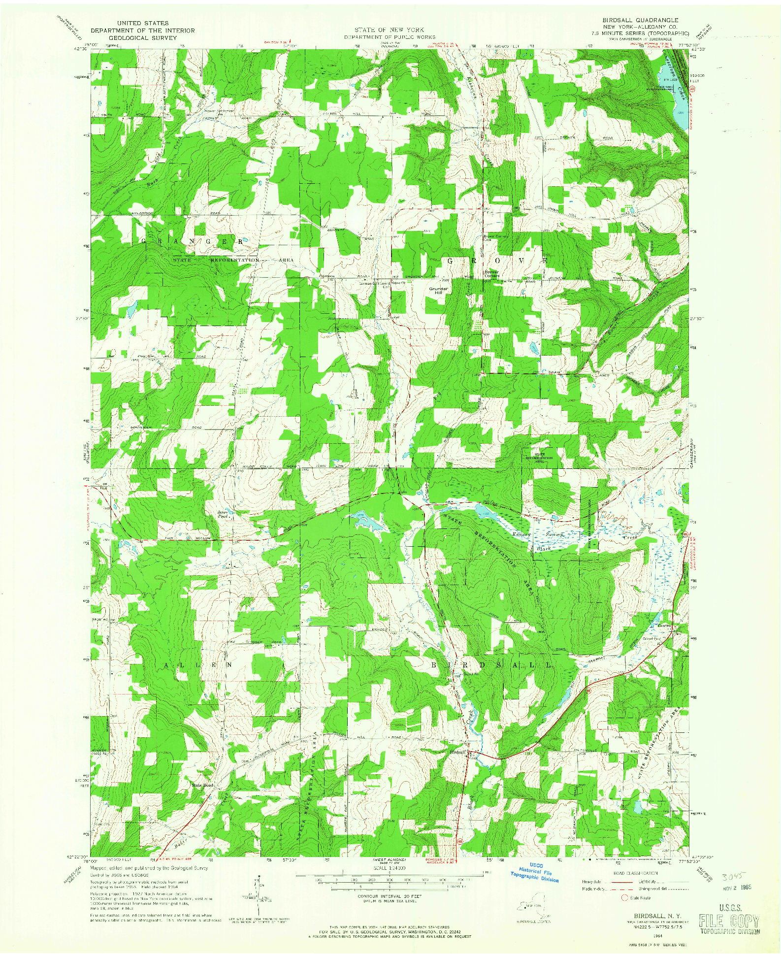 USGS 1:24000-SCALE QUADRANGLE FOR BIRDSALL, NY 1964