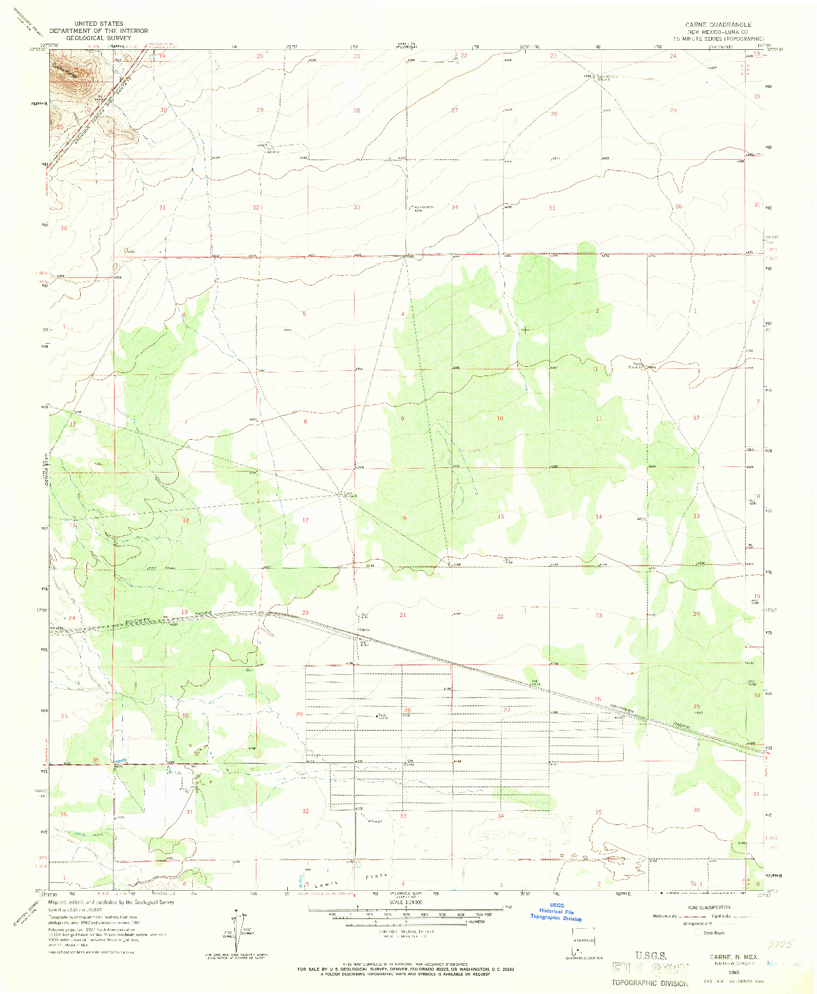 USGS 1:24000-SCALE QUADRANGLE FOR CARNE, NM 1965