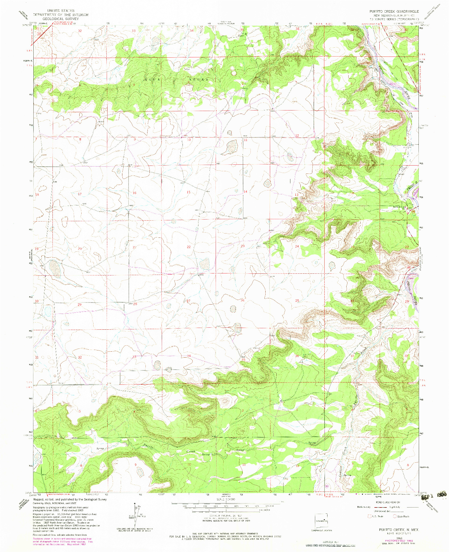 USGS 1:24000-SCALE QUADRANGLE FOR PUERTO CREEK, NM 1963