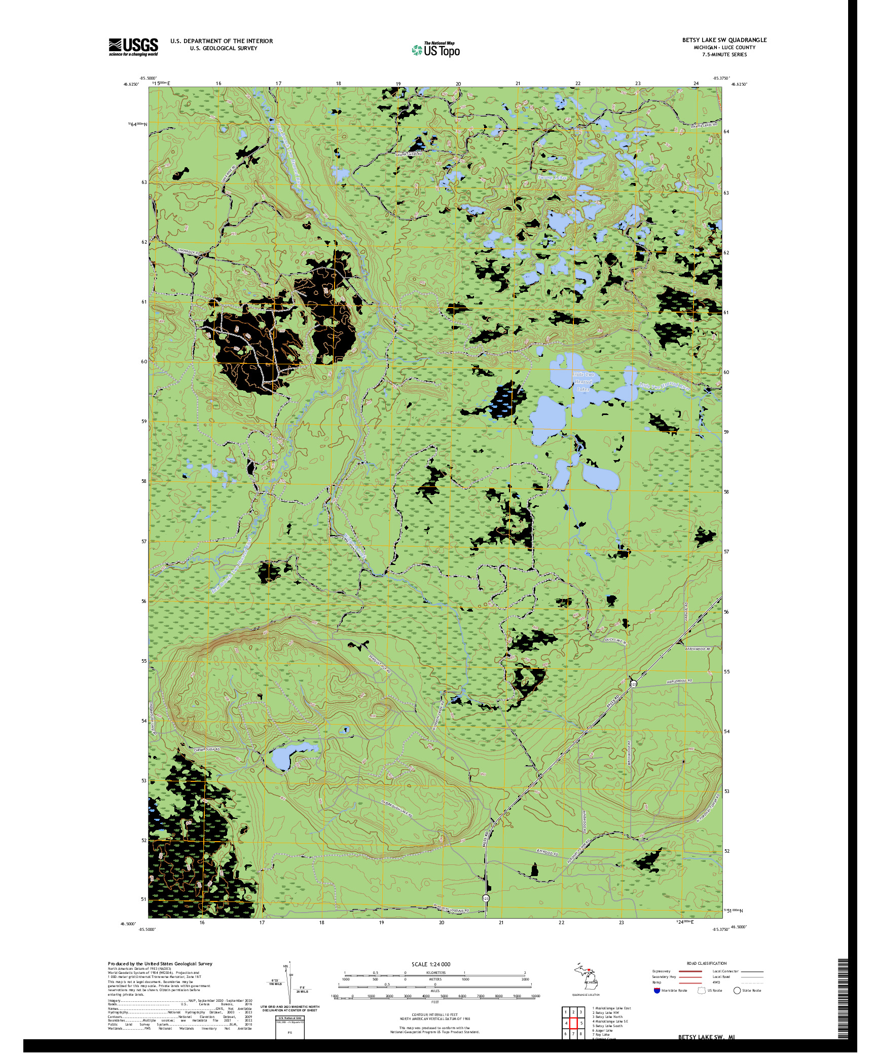 US TOPO 7.5-MINUTE MAP FOR BETSY LAKE SW, MI