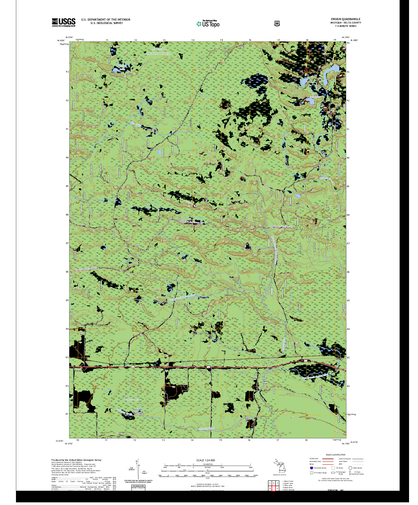 US TOPO 7.5-MINUTE MAP FOR ENSIGN, MI