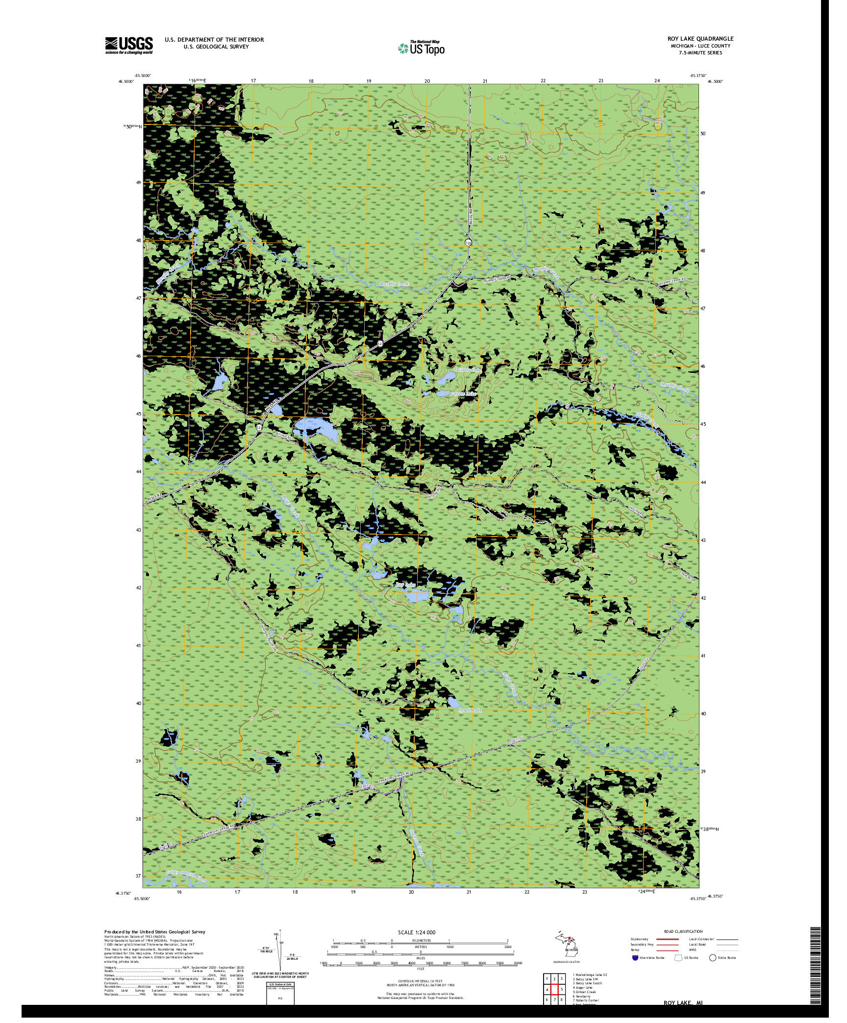 US TOPO 7.5-MINUTE MAP FOR ROY LAKE, MI