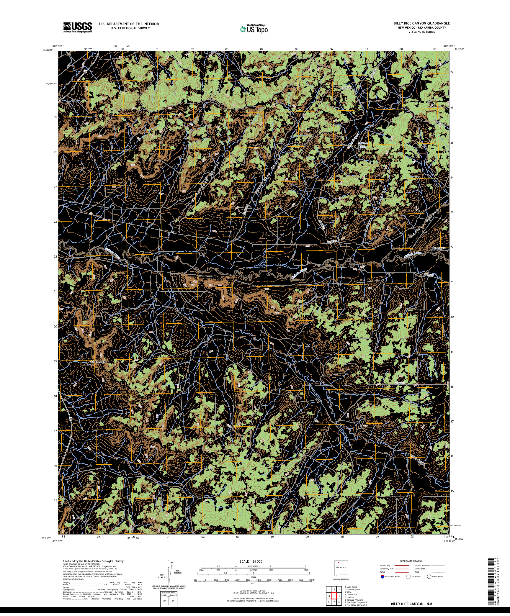 US TOPO 7.5-MINUTE MAP FOR BILLY RICE CANYON, NM