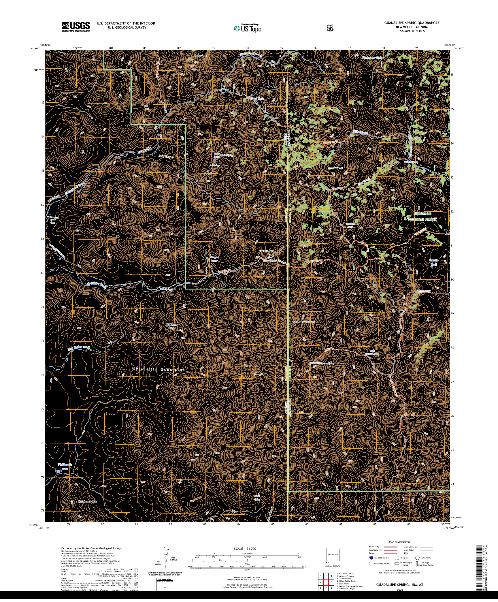 US TOPO 7.5-MINUTE MAP FOR GUADALUPE SPRING, NM,AZ