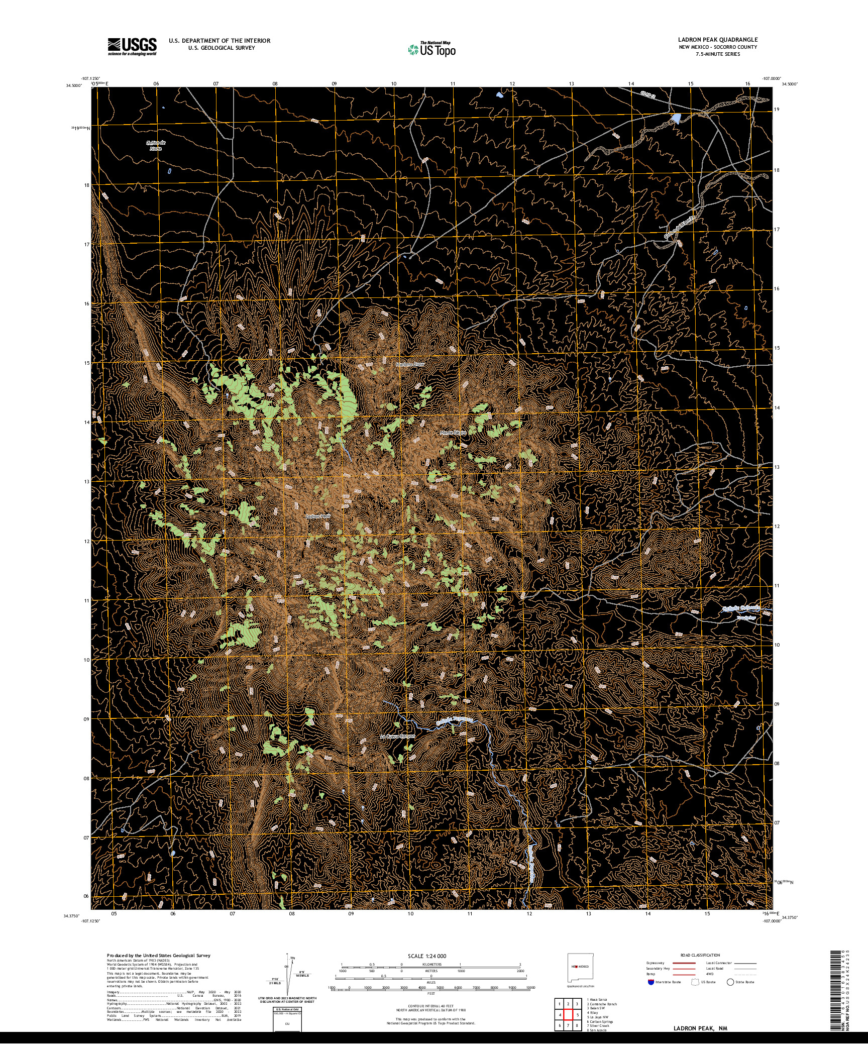 US TOPO 7.5-MINUTE MAP FOR LADRON PEAK, NM