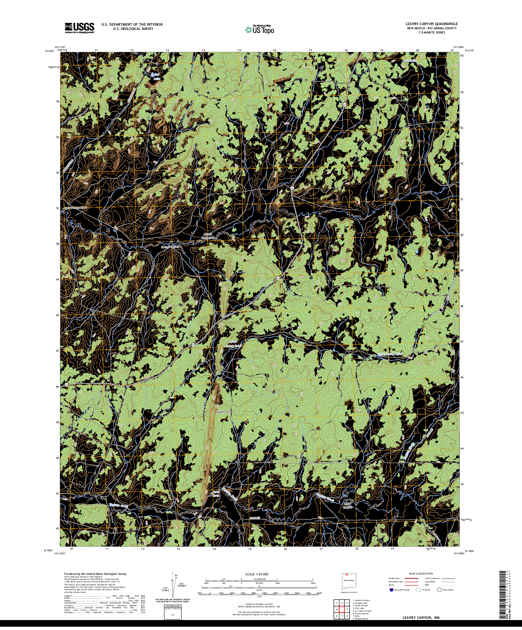 US TOPO 7.5-MINUTE MAP FOR LEAVRY CANYON, NM