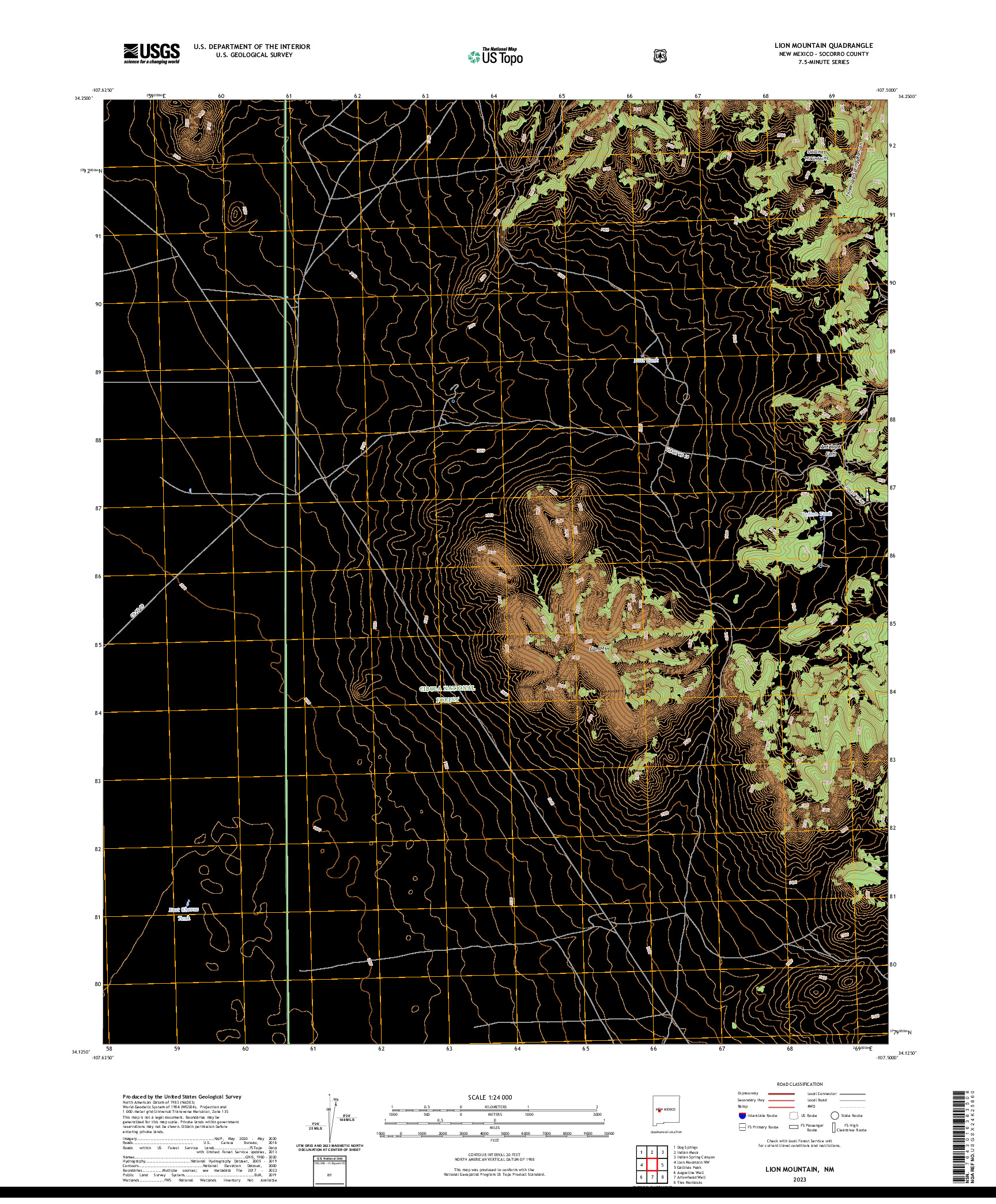 US TOPO 7.5-MINUTE MAP FOR LION MOUNTAIN, NM