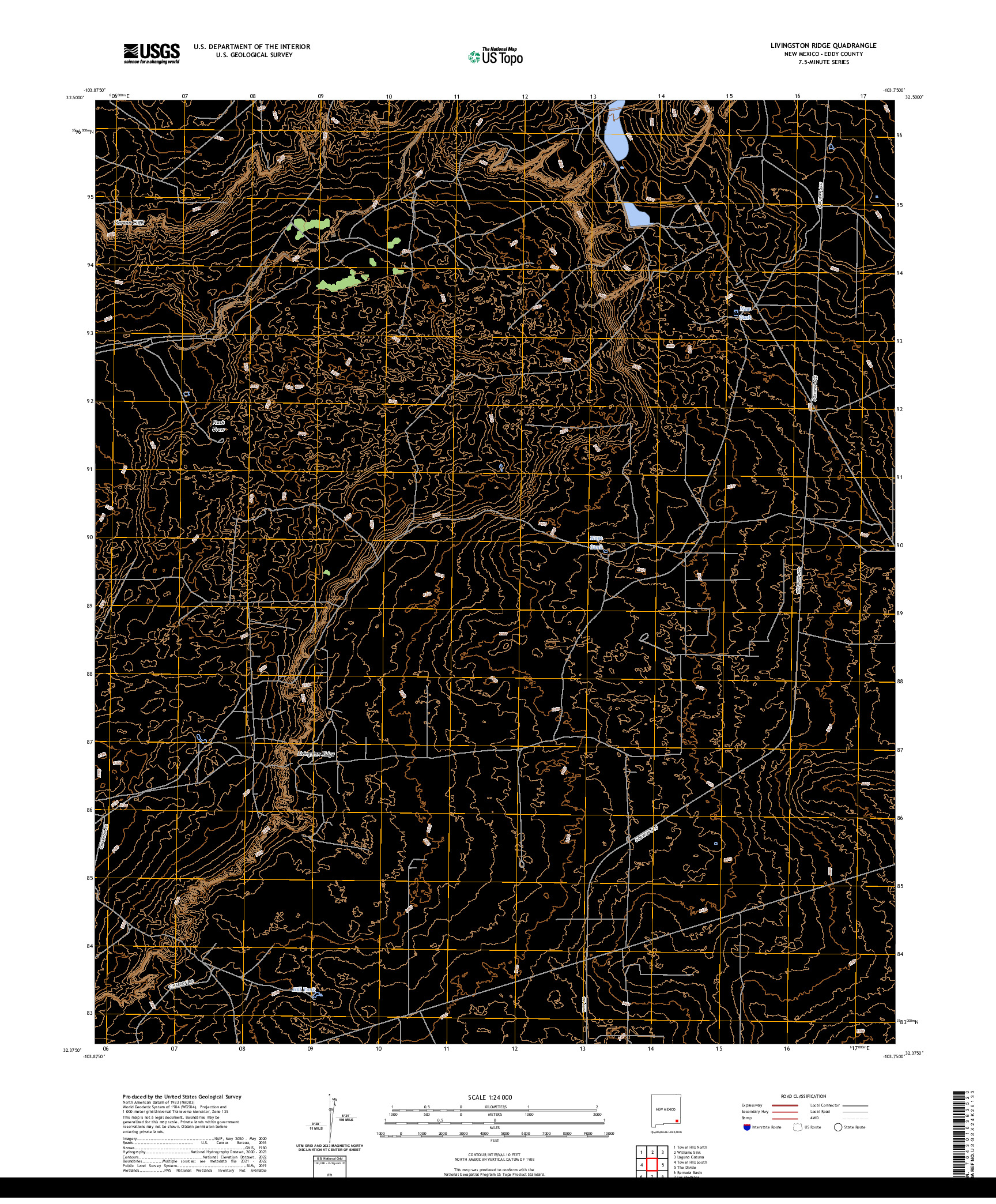 US TOPO 7.5-MINUTE MAP FOR LIVINGSTON RIDGE, NM