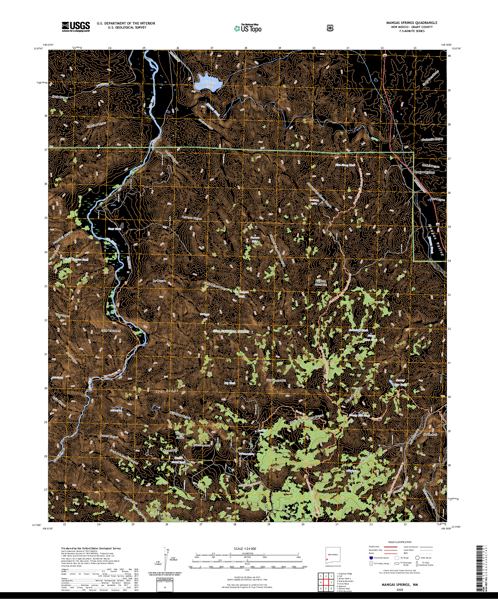 US TOPO 7.5-MINUTE MAP FOR MANGAS SPRINGS, NM