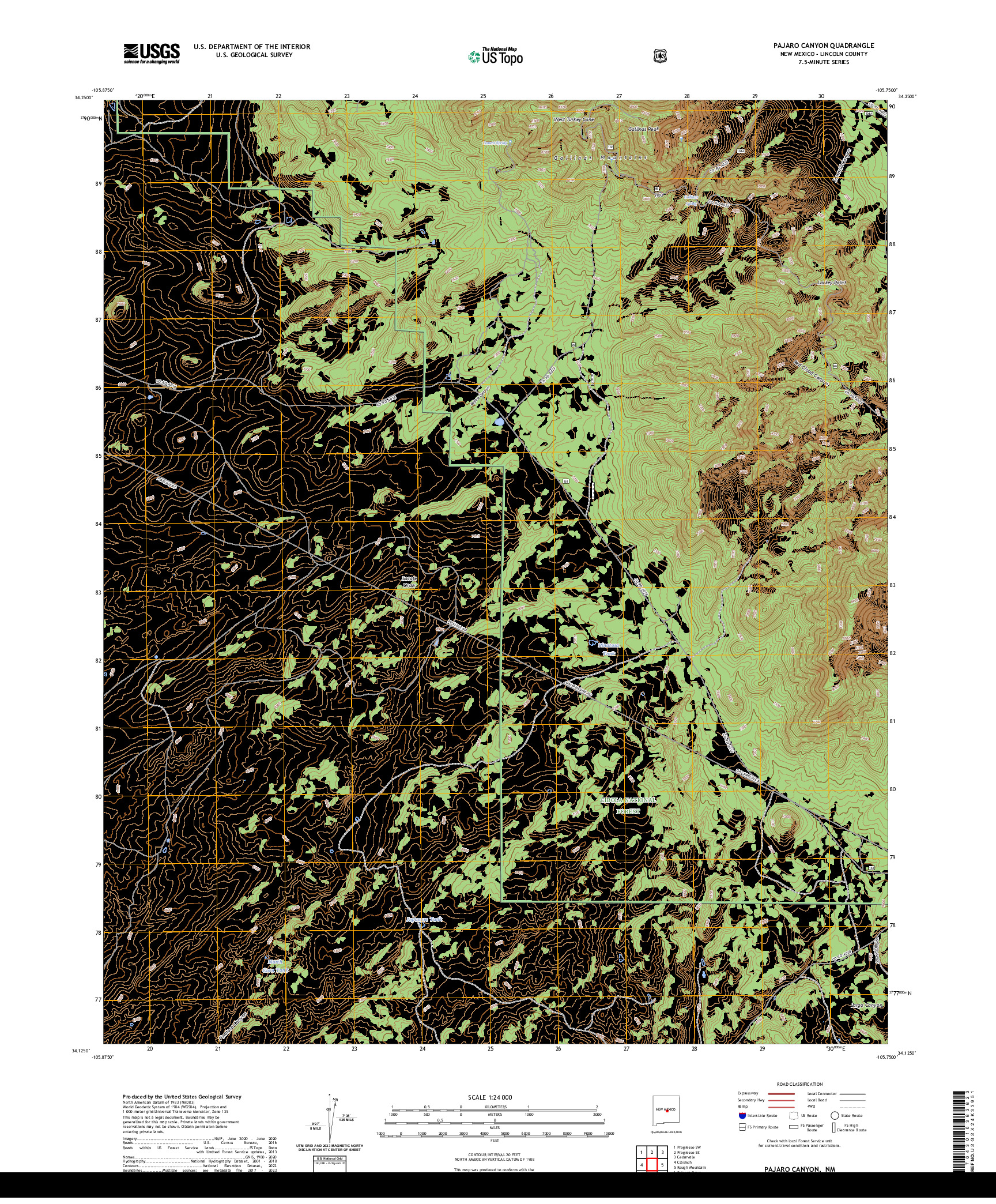 US TOPO 7.5-MINUTE MAP FOR PAJARO CANYON, NM