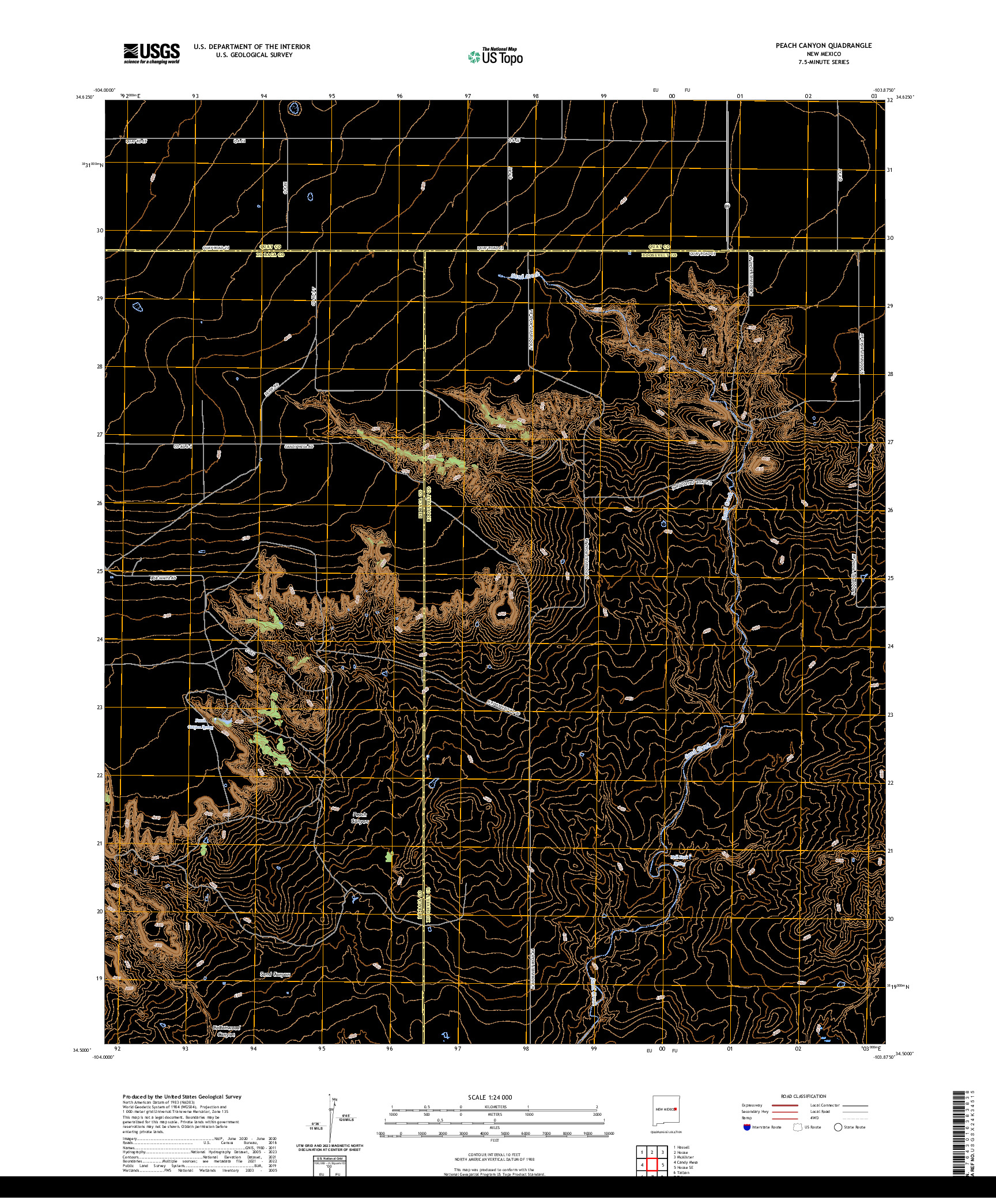 US TOPO 7.5-MINUTE MAP FOR PEACH CANYON, NM