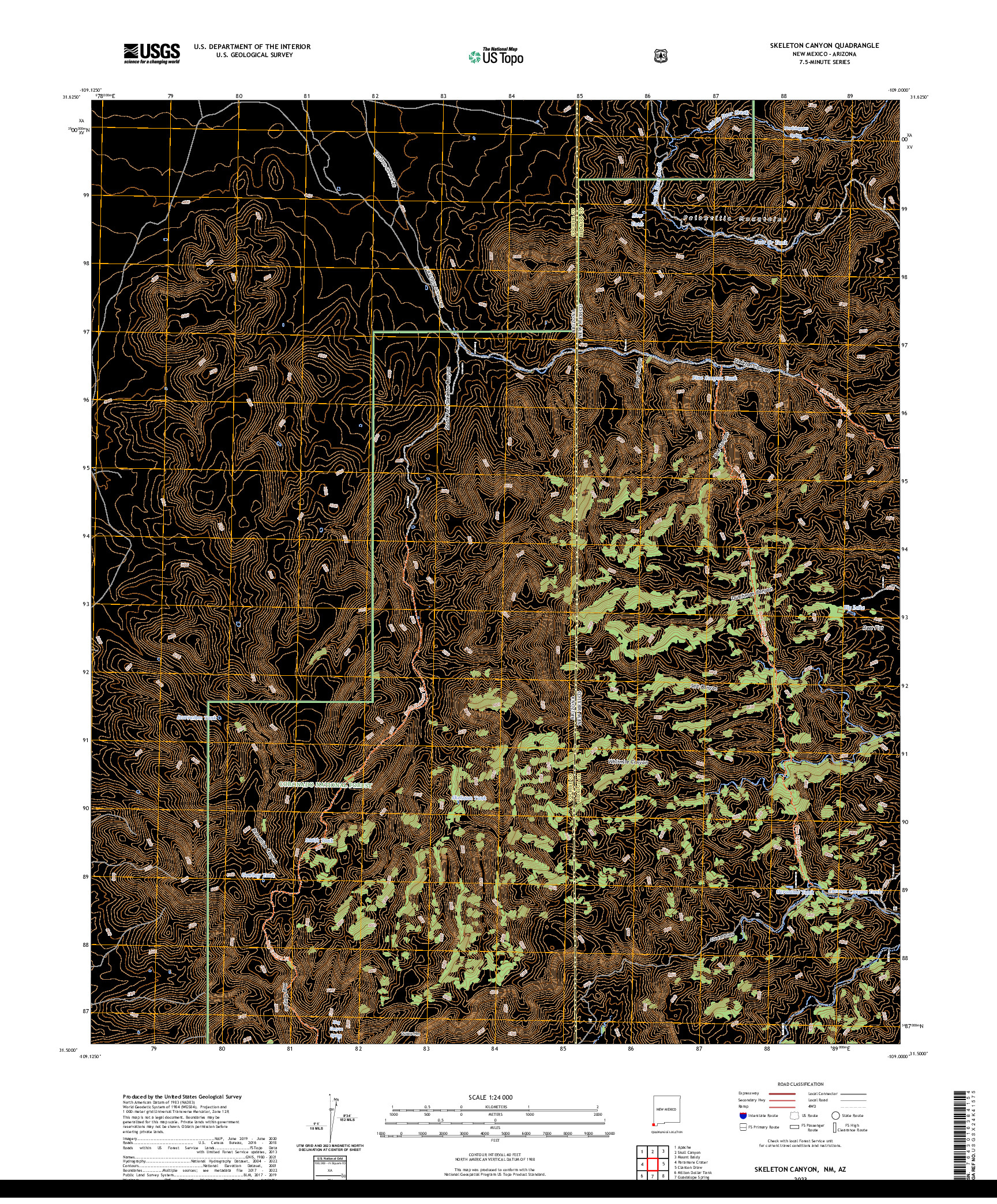 US TOPO 7.5-MINUTE MAP FOR SKELETON CANYON, NM,AZ