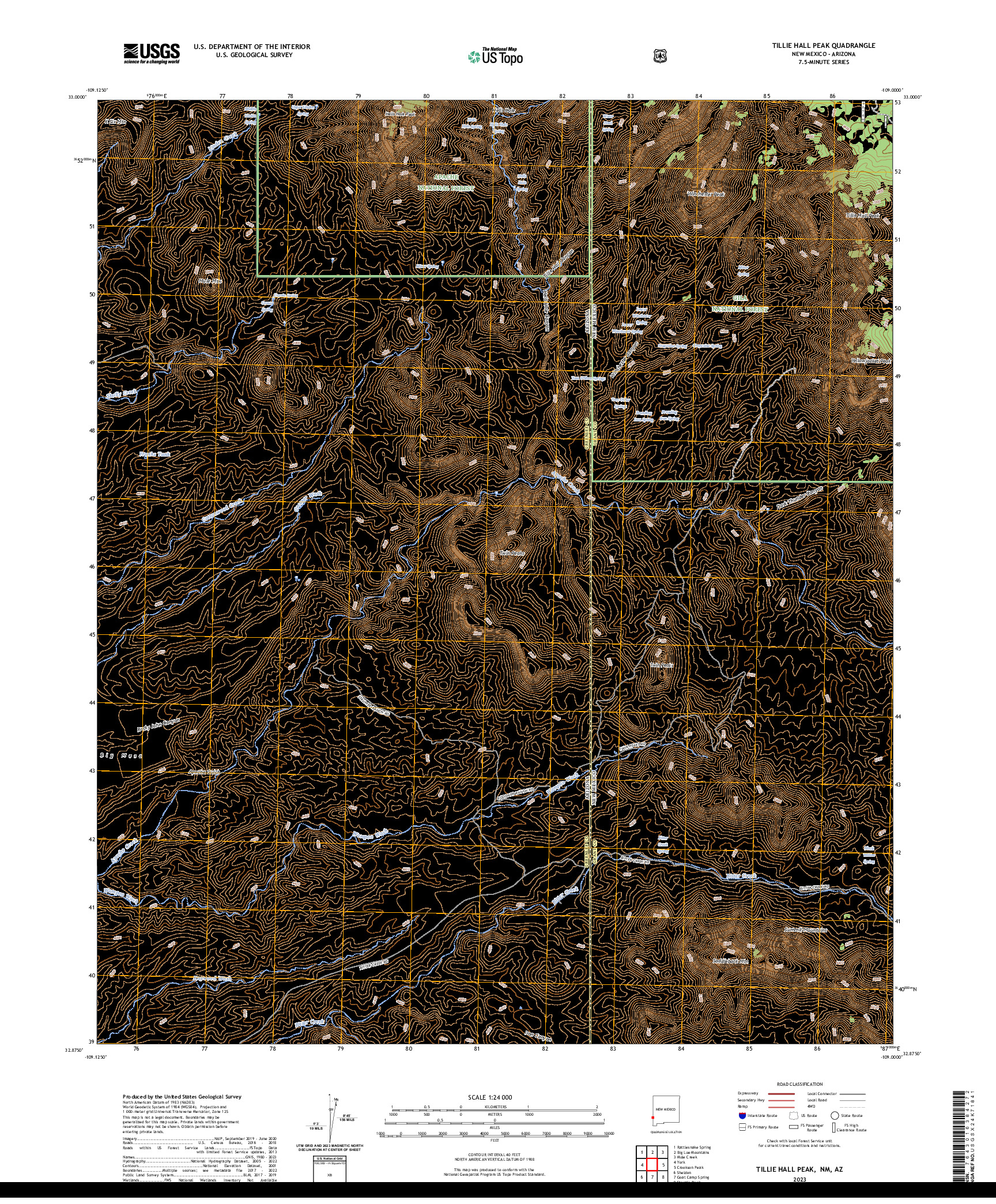 US TOPO 7.5-MINUTE MAP FOR TILLIE HALL PEAK, NM,AZ