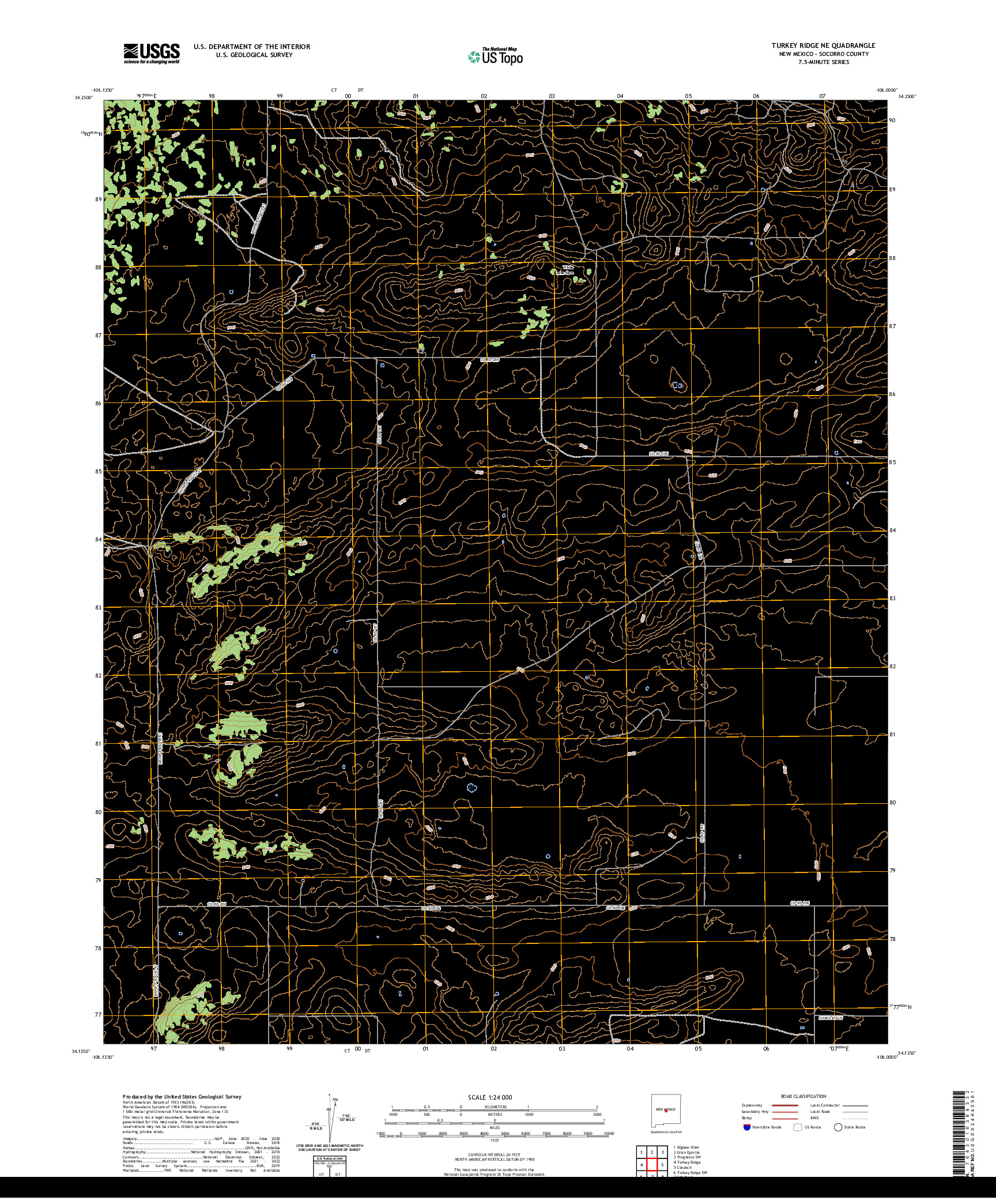 US TOPO 7.5-MINUTE MAP FOR TURKEY RIDGE NE, NM