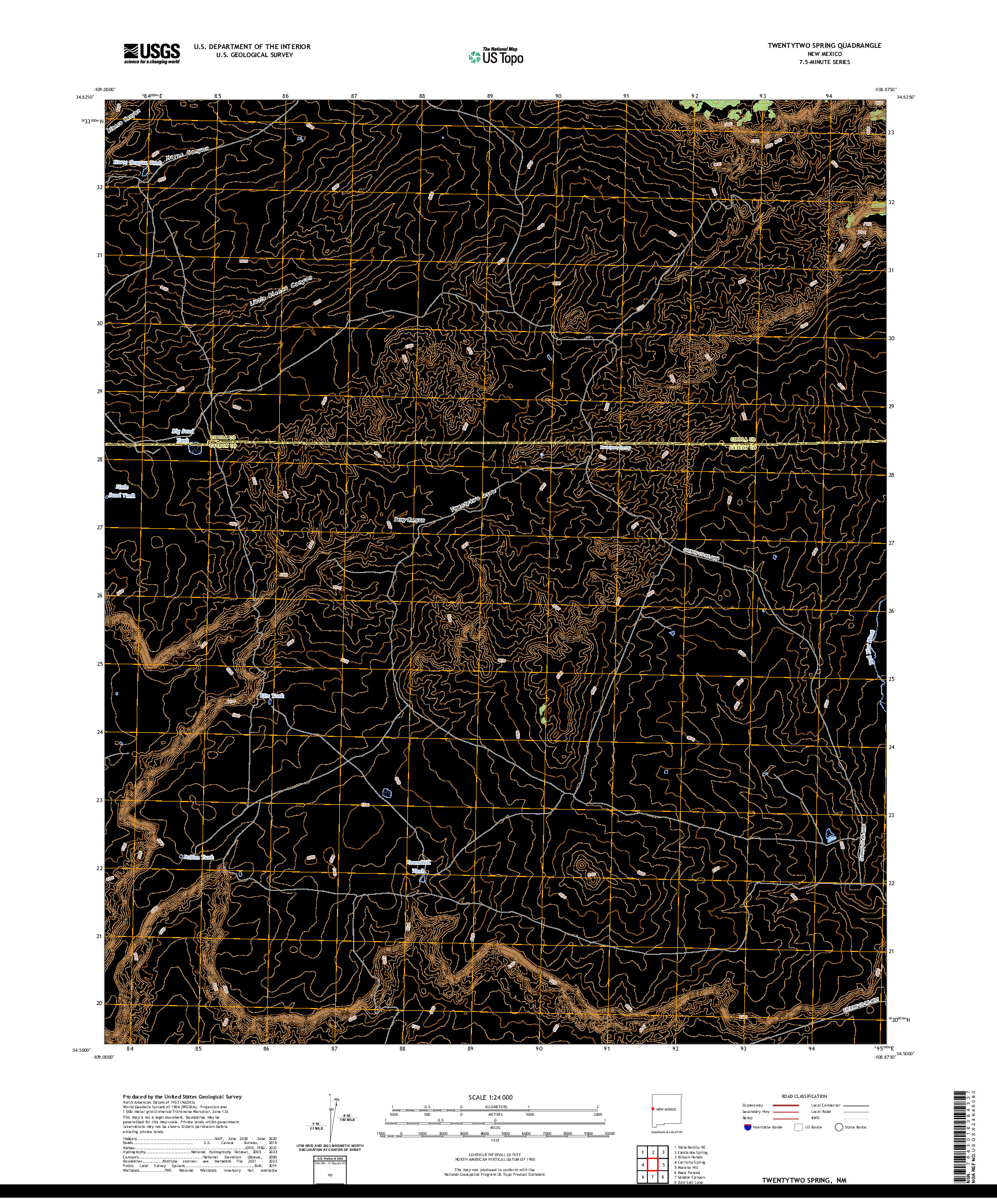 US TOPO 7.5-MINUTE MAP FOR TWENTYTWO SPRING, NM